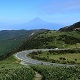 富士登山の前に　<br/>
－富士山を感じる山に登ろう！－ 静岡エリア(伊豆半島編)