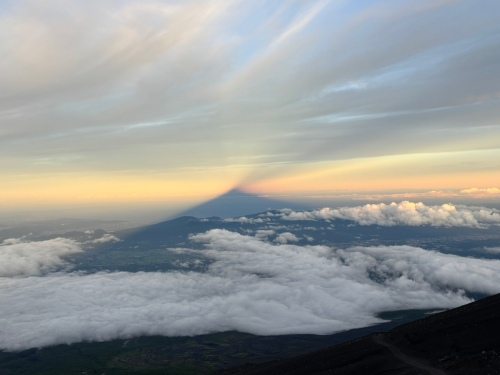 御来光だけじゃない！富士山で見える動植物-吉田ルート